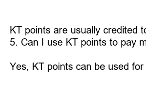 KT 포인트 사용처